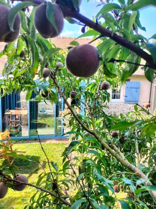 Charmante Maisonnette En Pierre Écardenville-sur-Eure Buitenkant foto